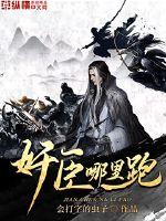 奸臣哪里跑封面