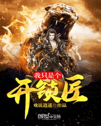 我只是个开锁匠封面