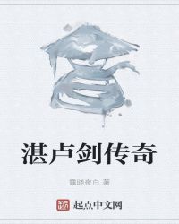 湛卢剑传奇封面