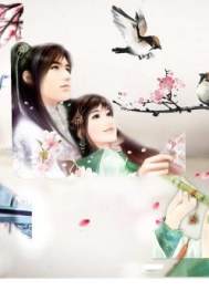 红尘之婆娑劫封面