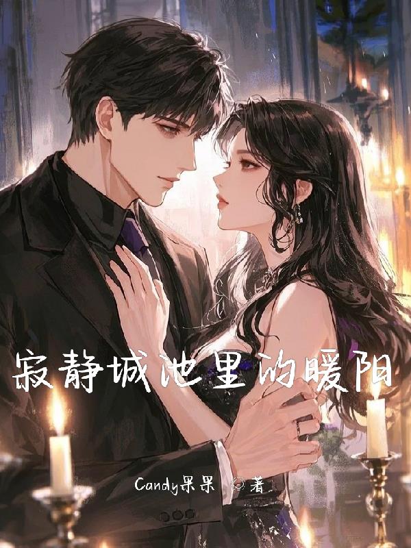 寂静城池里的暖阳封面