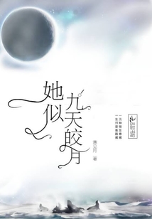 她似九天皎月封面