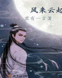 风来云起封面