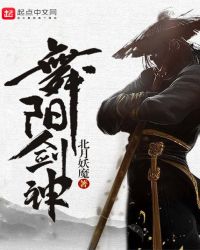 舞阳剑神封面