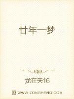 廿年一梦封面
