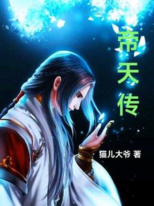 帝天传封面