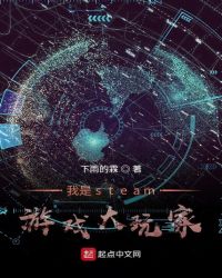 我是steam游戏大玩家封面