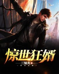 惊世狂婿封面