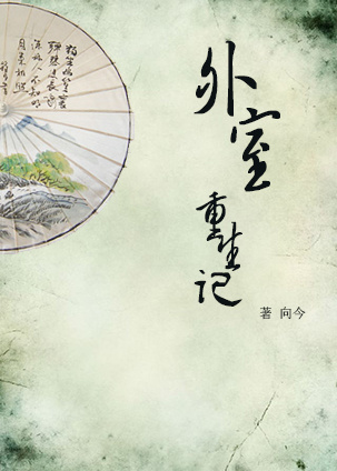 外室重生记封面