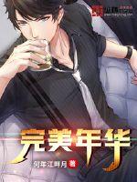 完美年华封面