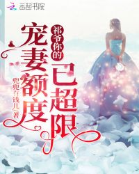 祁少你的宠妻额度已超限封面