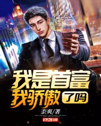 我是首富我骄傲了吗封面