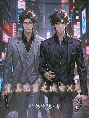 完美犯罪之城市X光封面