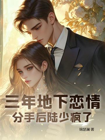三年地下恋情，分手后陆少疯了封面