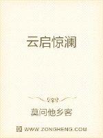 云启惊澜封面