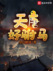 天唐好驸马封面
