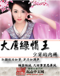 大唐绿帽王封面