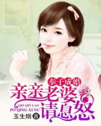 亲亲老婆请息怒封面