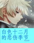 白色十二月的悲伤季节封面