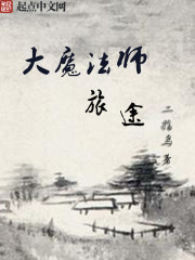 大魔法师旅途封面