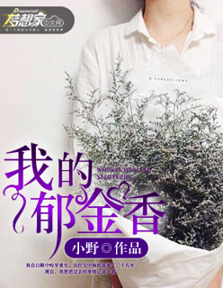 我的郁金香封面