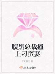 腹黑总裁撞上刁蛮妻封面