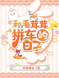 和毛茸茸拼车的日子封面