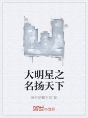 大明星之名扬天下封面