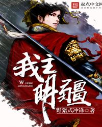 我主明疆封面