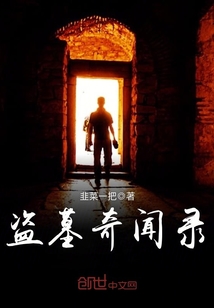 盗墓奇闻录封面