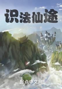 识法仙途封面