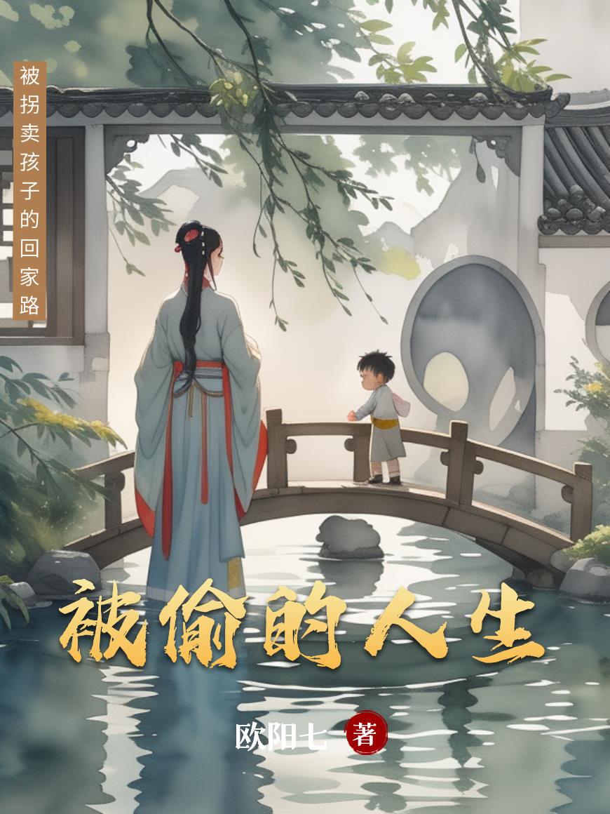 被偷的人生封面