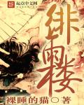 绯雨楼封面