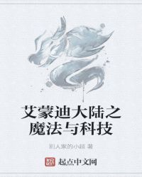 艾蒙迪大陆之魔法与科技封面