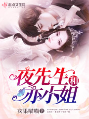 夜先生和亦小姐封面