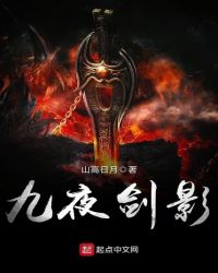 九夜剑影封面