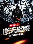 网游之逆天盗贼封面