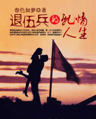退伍兵的乱情人生封面