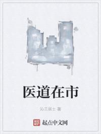 医道在市封面