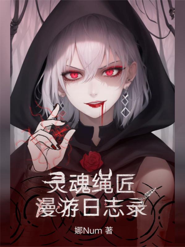 灵魂绳匠漫游日志录封面