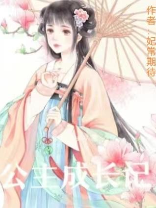 公主和亲记封面