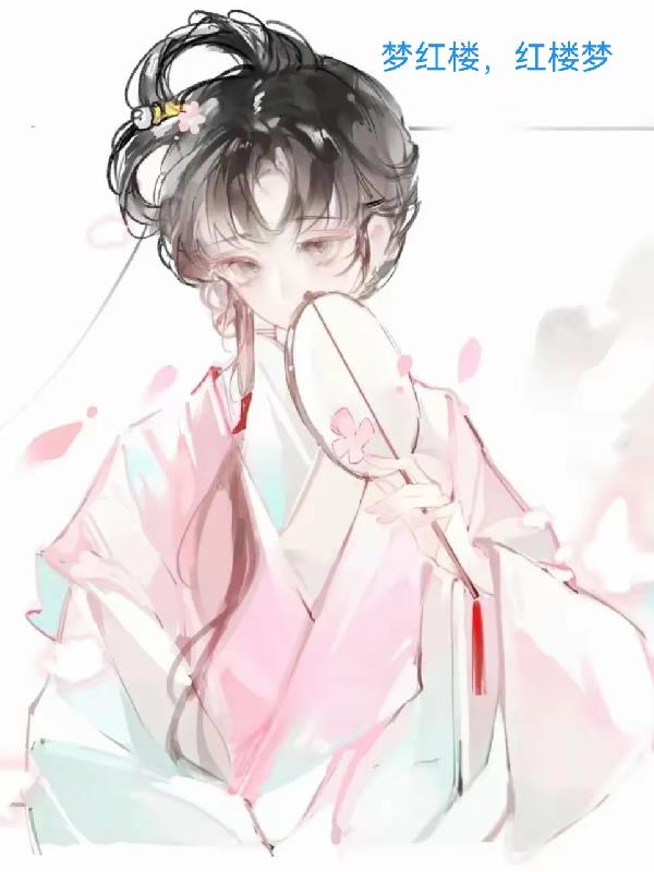 梦红楼，红楼梦封面