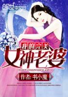 我的完美女神老婆封面