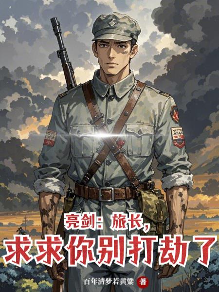 亮剑：旅长，求求你别打劫了！封面