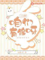 上神，咱们有缘呀！封面