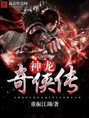 神龙奇侠传封面
