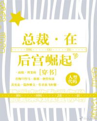 总裁在后宫崛起封面