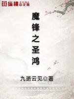 魔锋之圣鸿封面