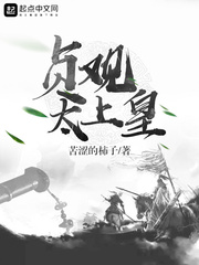 贞观太上皇封面