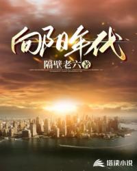 向阳年代封面